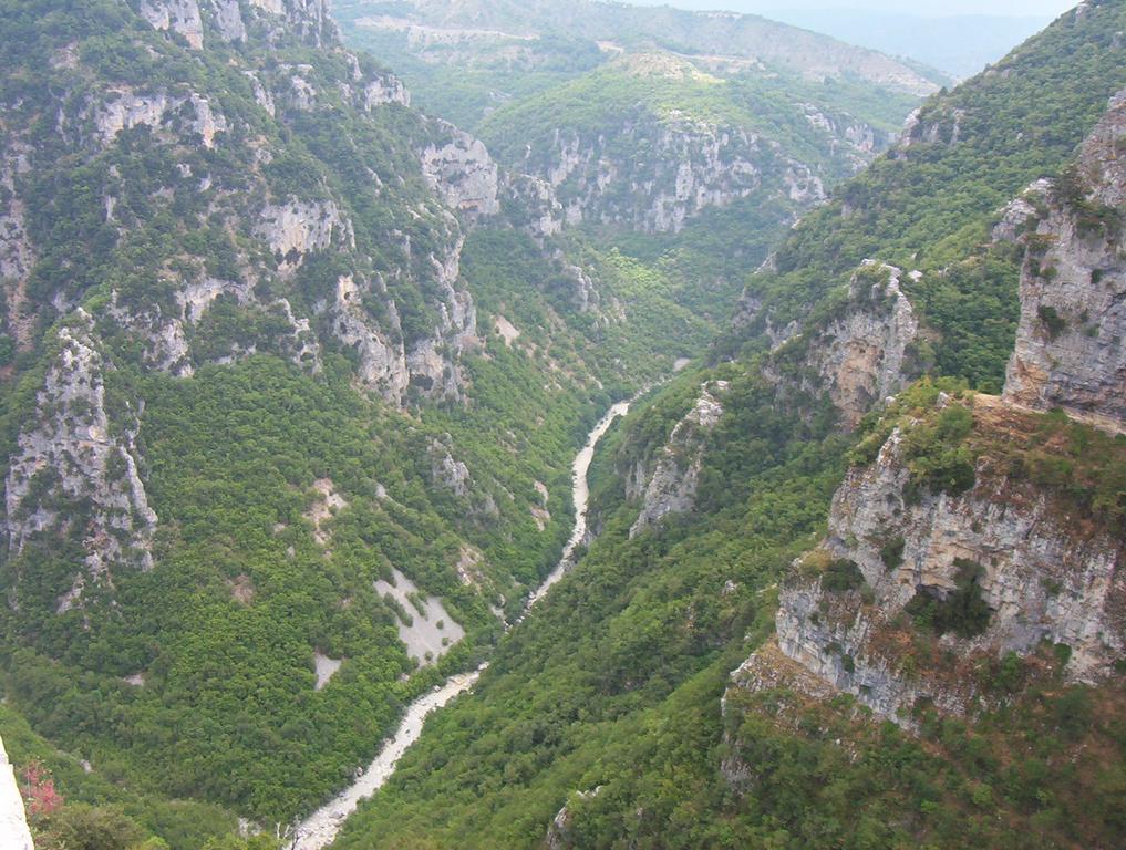 Vikos Hotel Монодендри Экстерьер фото